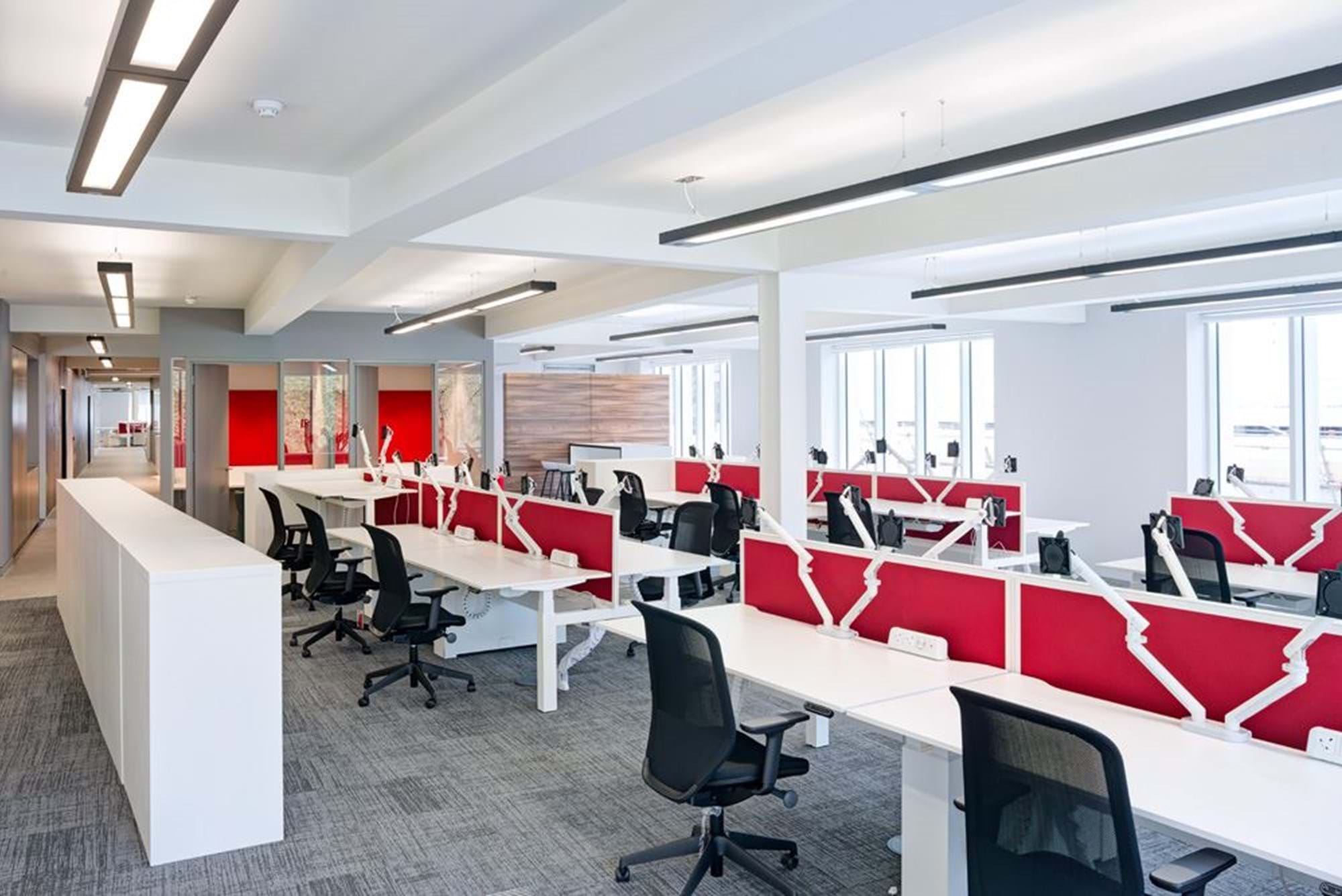 Modus Workspace office design, fit out and refurbishment - Neu Lion - NeuLion 06 highres sRGB.jpg