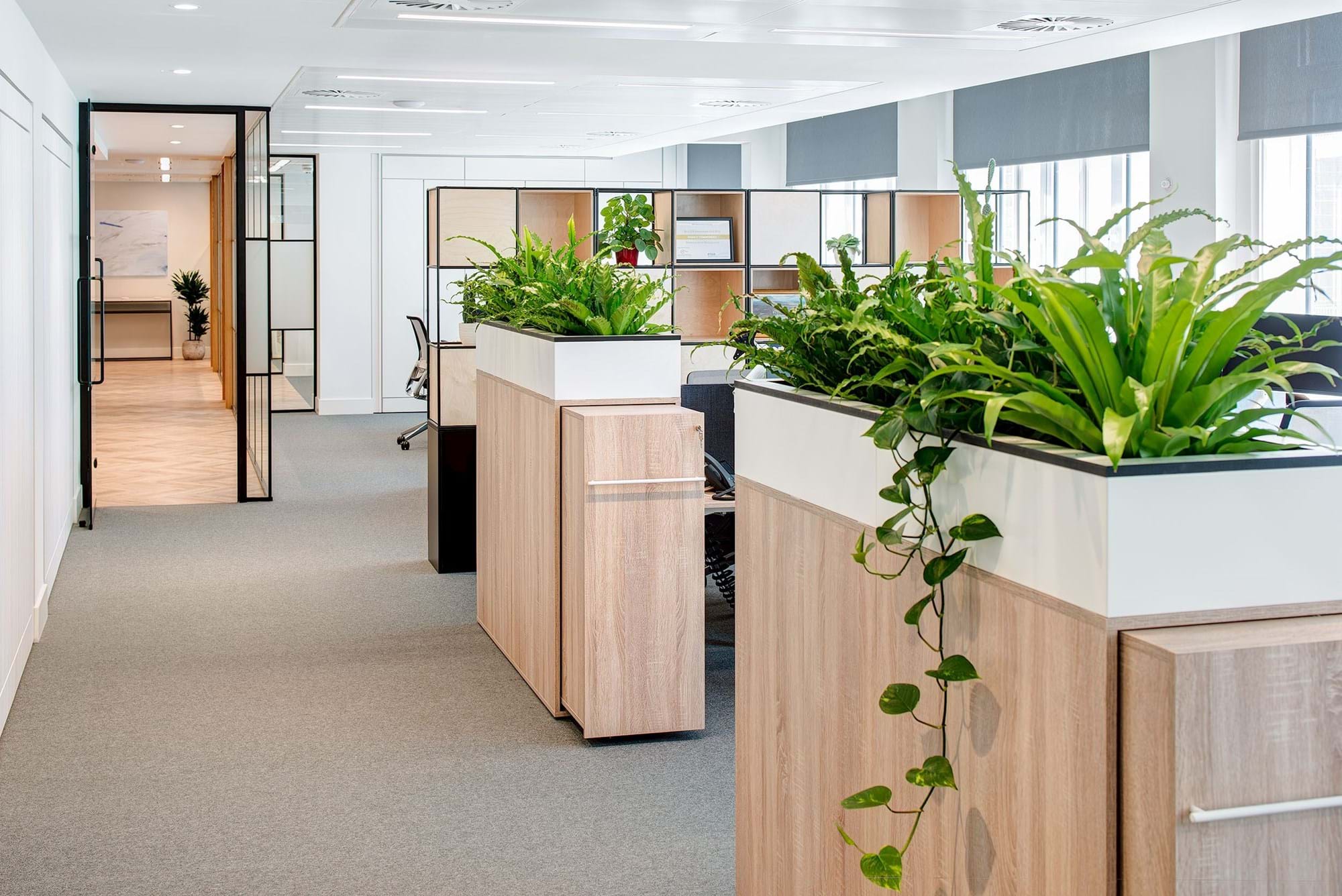 Modus Workspace office design, fit out and refurbishment - Guinness Asset Management - Modus - Guiness Asset Management 10 - website.jpg