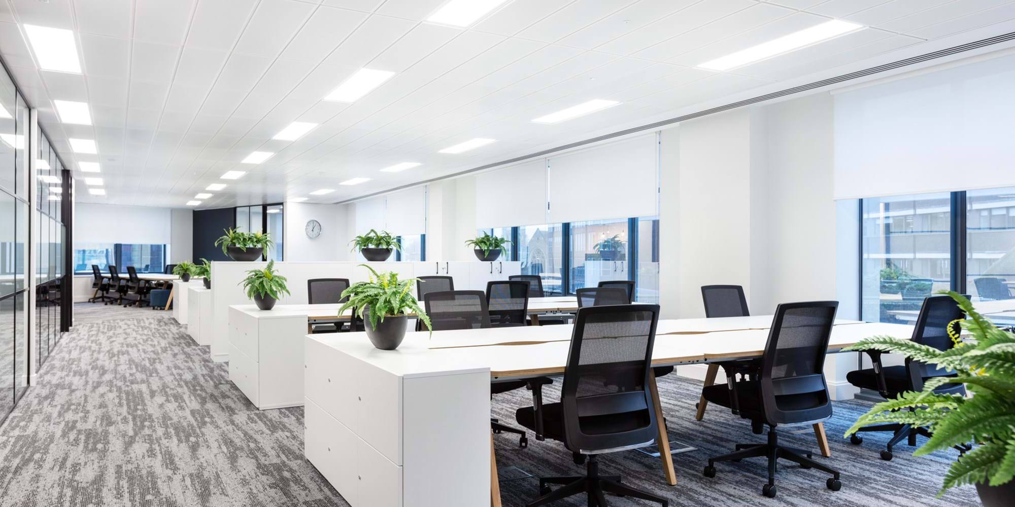 Modus Workspace office design, fit out and refurbishment - Pivot - Guildford - Pivot_Guildford_161220-1.jpg
