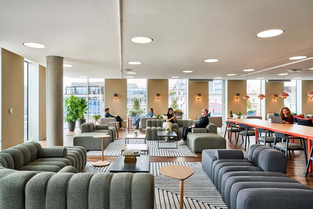 A bright communal seating area, with soft furnishings and biophilia